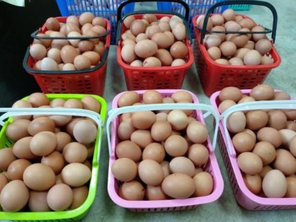 He ate 900 eggs in one month for fitness and 