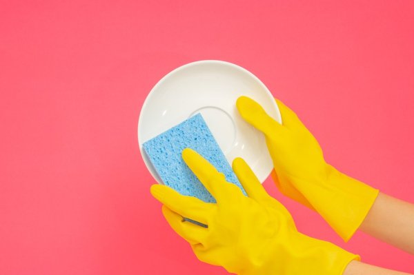 Kitchen Bacteria Converter! Experts change every one to two days: it is impossible to clean