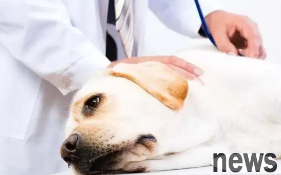 Popular science today: What are the clinical symptoms and treatments of 