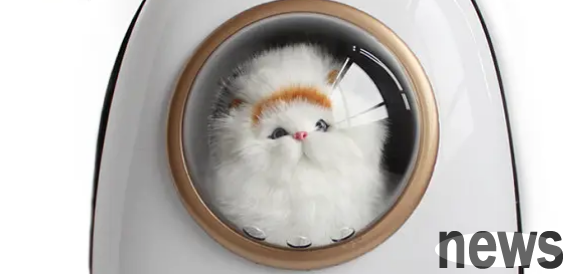 Will cats poop in space bags? See if your cat is like this.