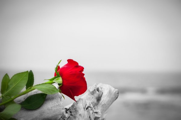 Do you want to participate in your own gift as a living person? When saying goodbye during your lifetime, it is not about 