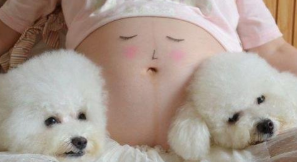 Frequently Asked Questions about Raising Dogs During Pregnancy