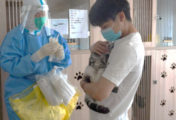 After Beijing was lifted, netizens rushed to the quarantine point to pick up the cat home, just like you who just left the exam room!