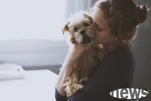 The owner asked the pet to take care of the baby, and the tabby cat and Shiba Inu looked at each other helplessly, but they were very gentle in their actions!