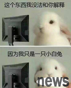 What the hell is this duckling raised by an owl? There is also this kind of operation
