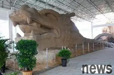 Free pet dog adoption in Handan | There are small animals waiting for you to adopt for free at the south gate of Handan Longhu Park on Sunday