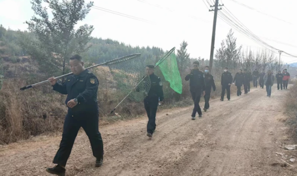 Residents ask for help, Xizhu Street Law Enforcement Squadron catches stray dogs to relieve people s concerns
