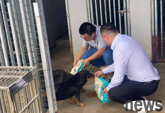 Spread dog food! Caring enterprise sends 100,000 yuan of dog food to Wanxi College stray dogs